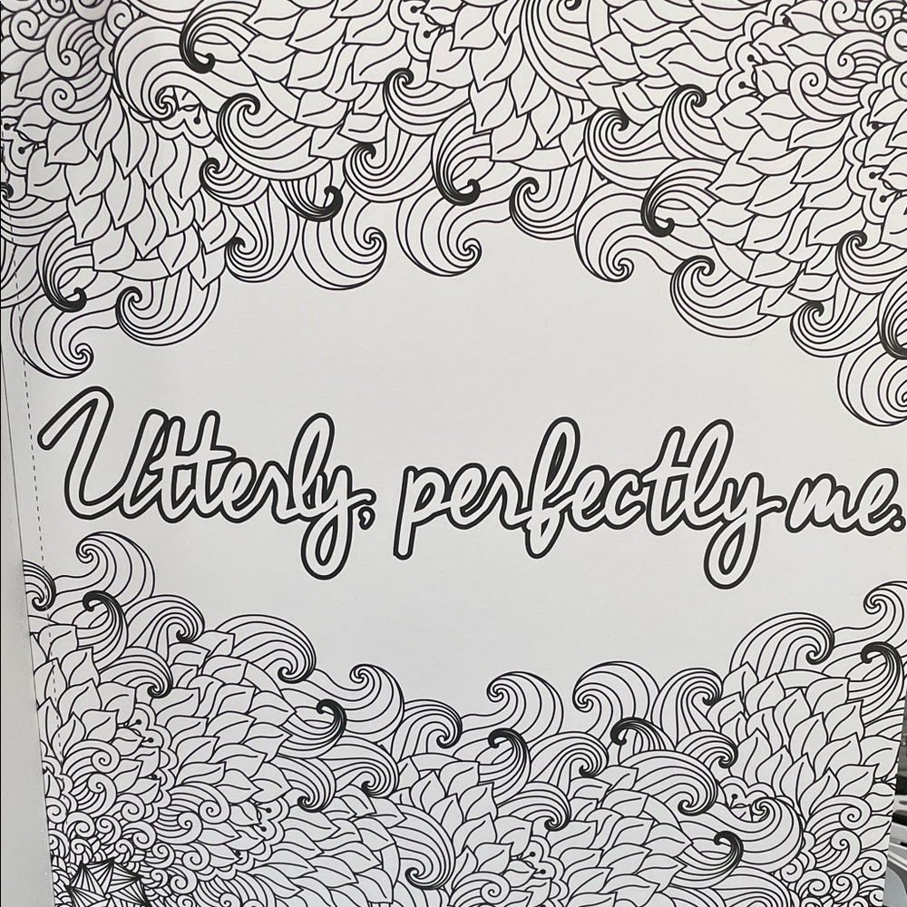 Adult Coloring Book - heavy paper, witty affirmations, complex designs